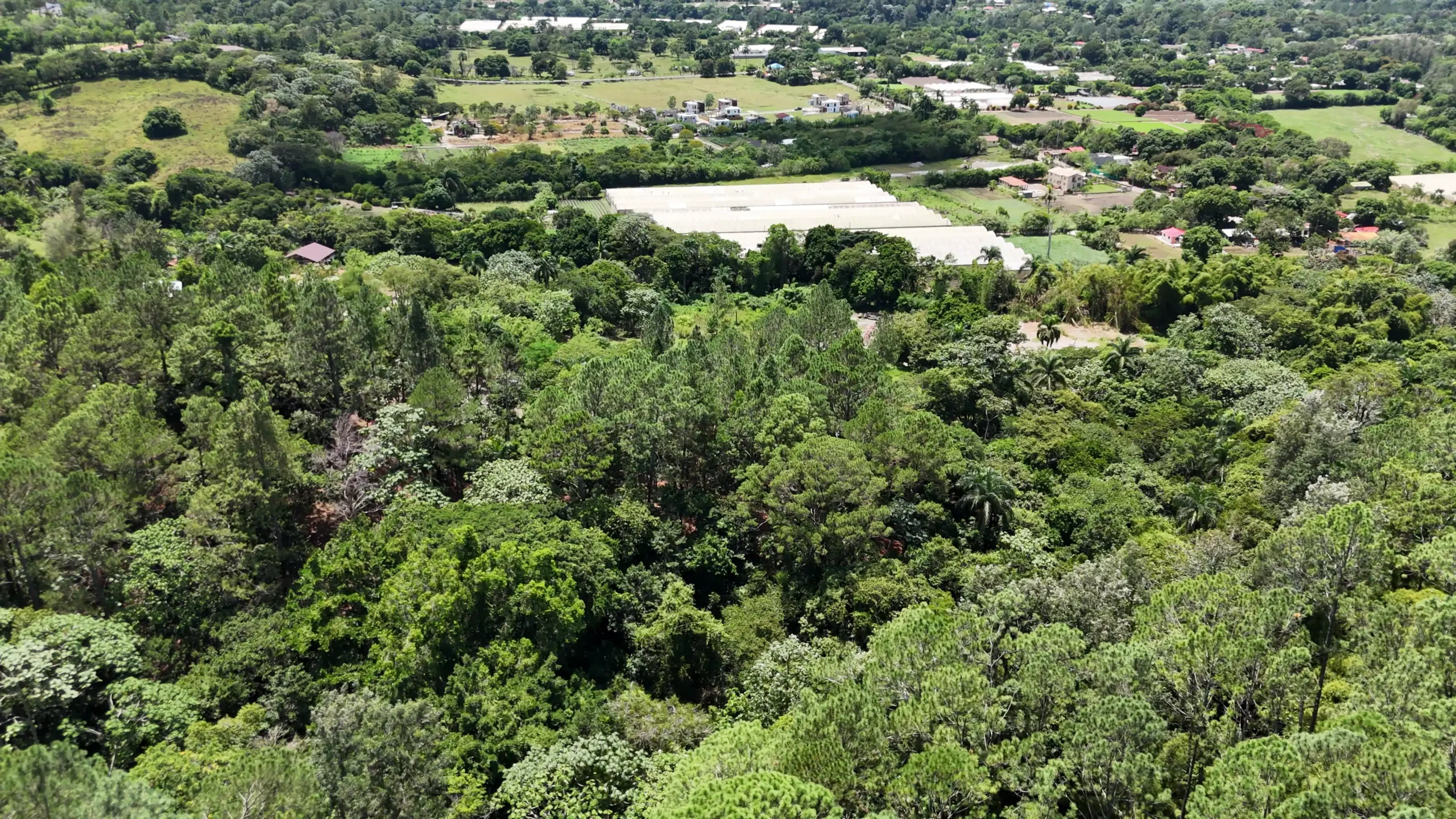 Vallacoa